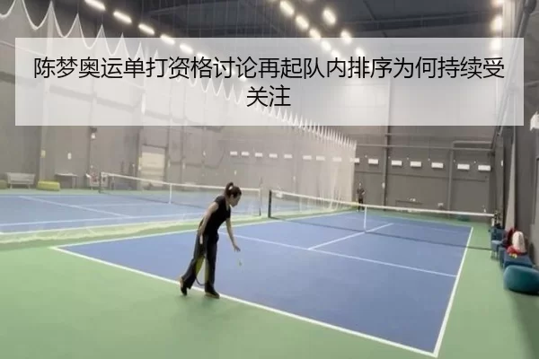 陈梦奥运单打资格讨论再起队内排序为何持续受关注 - App