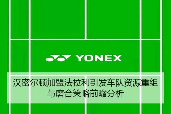 汉密尔顿加盟法拉利引发车队资源重组与磨合策略前瞻分析 - App
